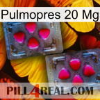 Pulmopres 20Mg 15